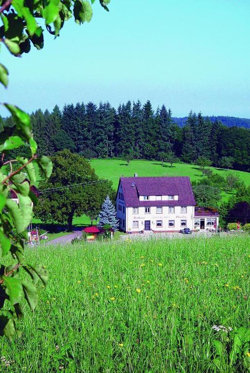 Gasthaus Und Pension Hintere Hofe Freiamt Zewnętrze zdjęcie